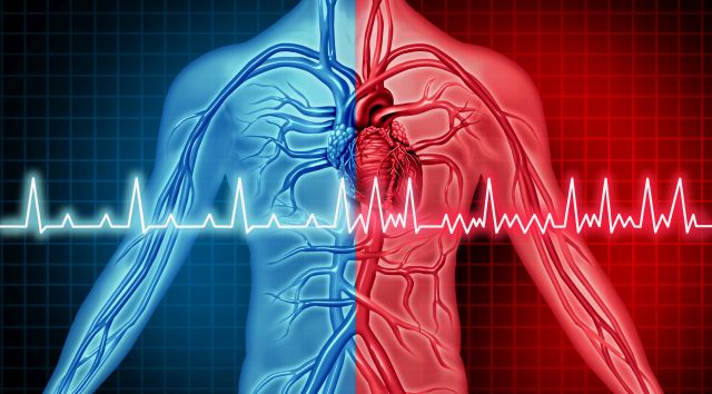 Grafische Darstellung eines menschlichen Körpers mit Herz und EKG-Linie, Fokus auf DOAK-Therapie bei Vorhofflimmern