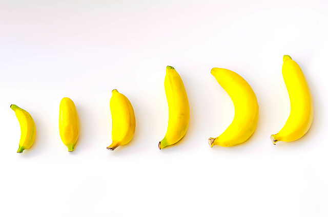 Eine neue klinische Studie zeigt: Ein neuartiges Gerät für die PTT kann die Penislänge und -funktion noch einer Prostatektomie wiederherstellen.