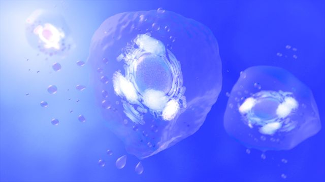 3D Rendering of Exosomes