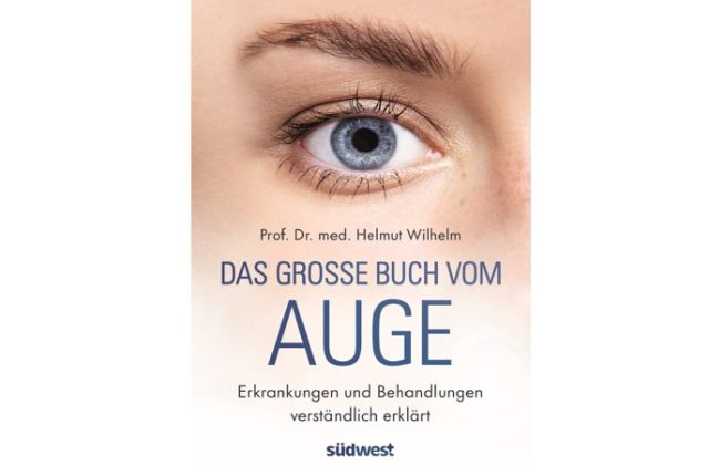 Buchcover Das große Buch vom Auge