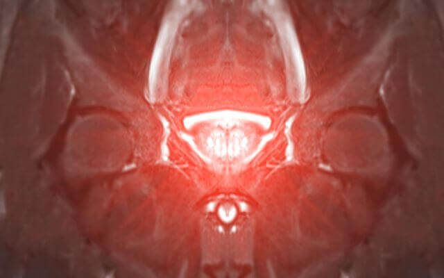 © samunella - stock.adobe.com