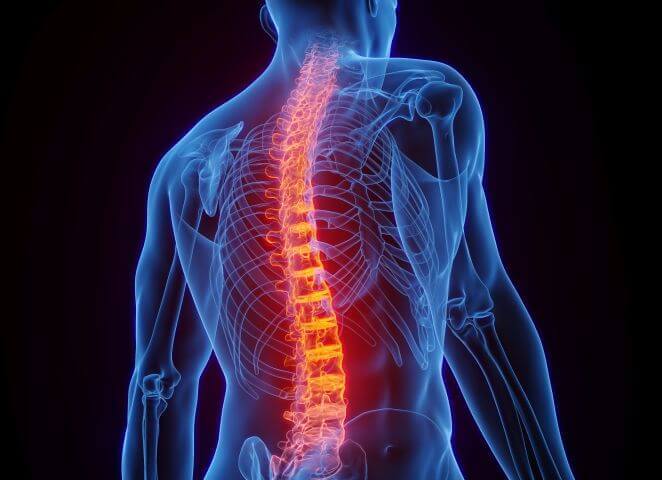 Foto: Sebastian Kaulitzki_stock.adobe.com