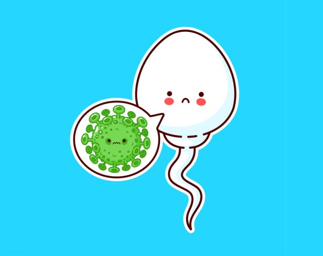 Spermienqualität nach COVID-19