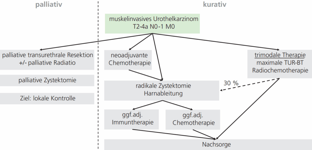 Abb. 1: Multimodale Behandlung des muskelinvasiven Blasenkarzinoms.