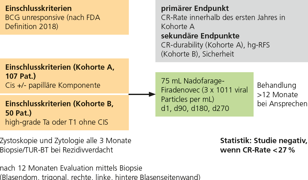 Abb. 2: Studiendesign NCT02773849, adaptiert nach [2].