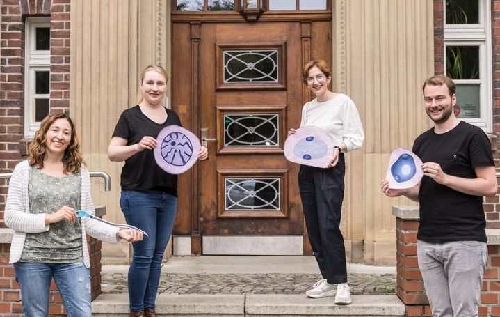 Ermöglichen mit ihren Analysen einen hochauflösenden Blick in den Hoden (v.l.n.r.): Dr. Sara Di Persio, Priv.-Doz. Dr. Nina Neuhaus und Dr. Sandra Laurentino vom Centrum für Reproduktionsmedizin sowie Tobias Tekath vom Institut für Medizinische Informatik. Die Daten ermöglichen ein besseres Verständnis von Kryptozoospermie. (Foto: L. Jeremies)