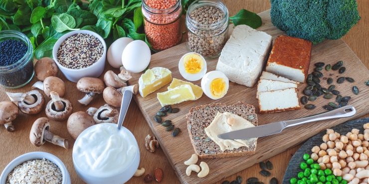 Symbolbild, Auswahl an vegetarischen Proteinquellen für eine gesunde, fleischfreie Ernährung
