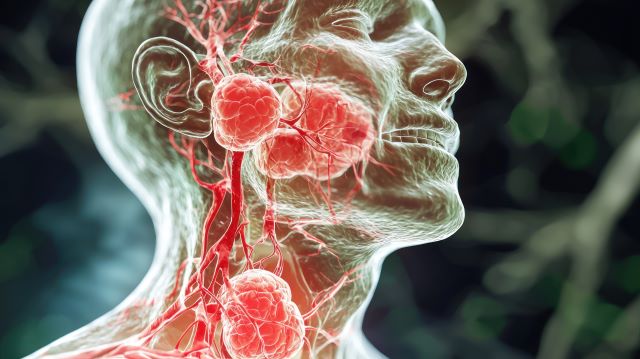 Medizinische Illustration des Lymphsystems im Hals mit hervorgehobenen Lymphknoten und Blutgefäßen.