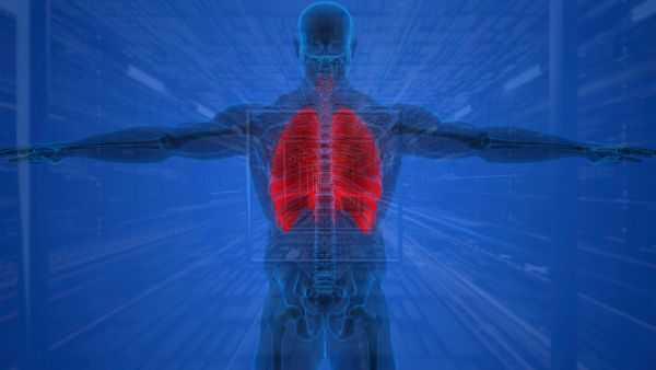 3D-Darstellung eines menschlichen Körpers mit hervorgehobenen roten Lungen auf blauem Hintergrund.