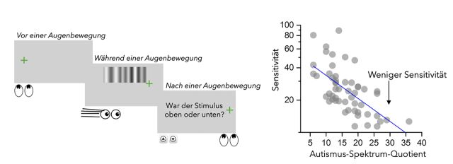 Grafisches Schema des Versuchsaufbaus zur visuellen Stabilität