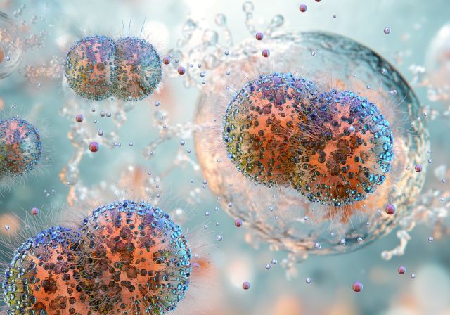 3D-Darstellung von Gonokokken und Meningokokken-Bakterien, die sexuell übertragbare Infektionen wie Gonorrhö verursachen können