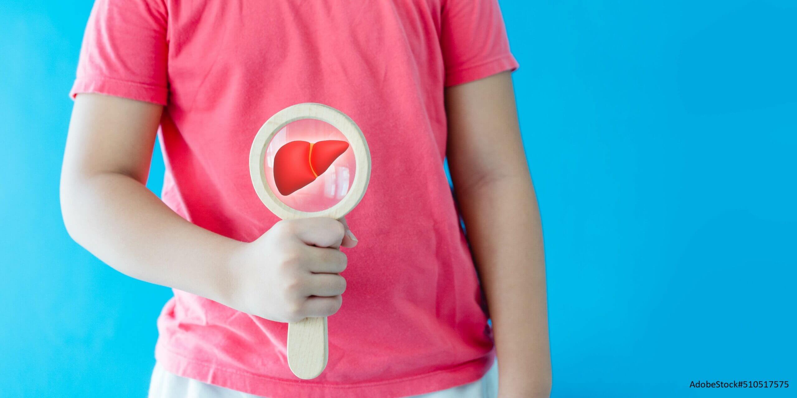 Kinderhände halten eine Lupe auf die Leber