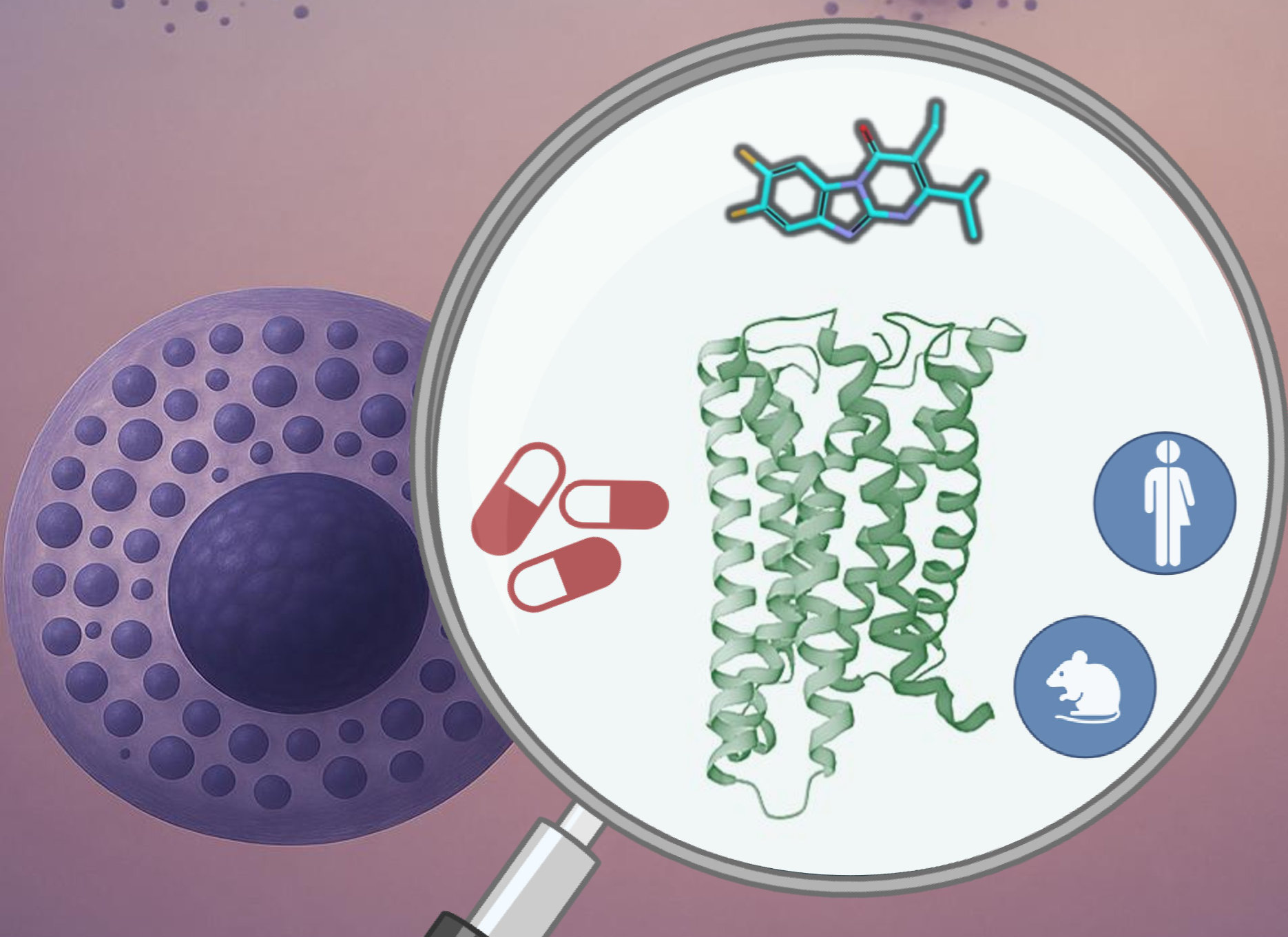 Mikroskopische Darstellung einer Zelle mit chemischer Struktur, Medikamentensymbolen und Symbolen für Mensch und Maus