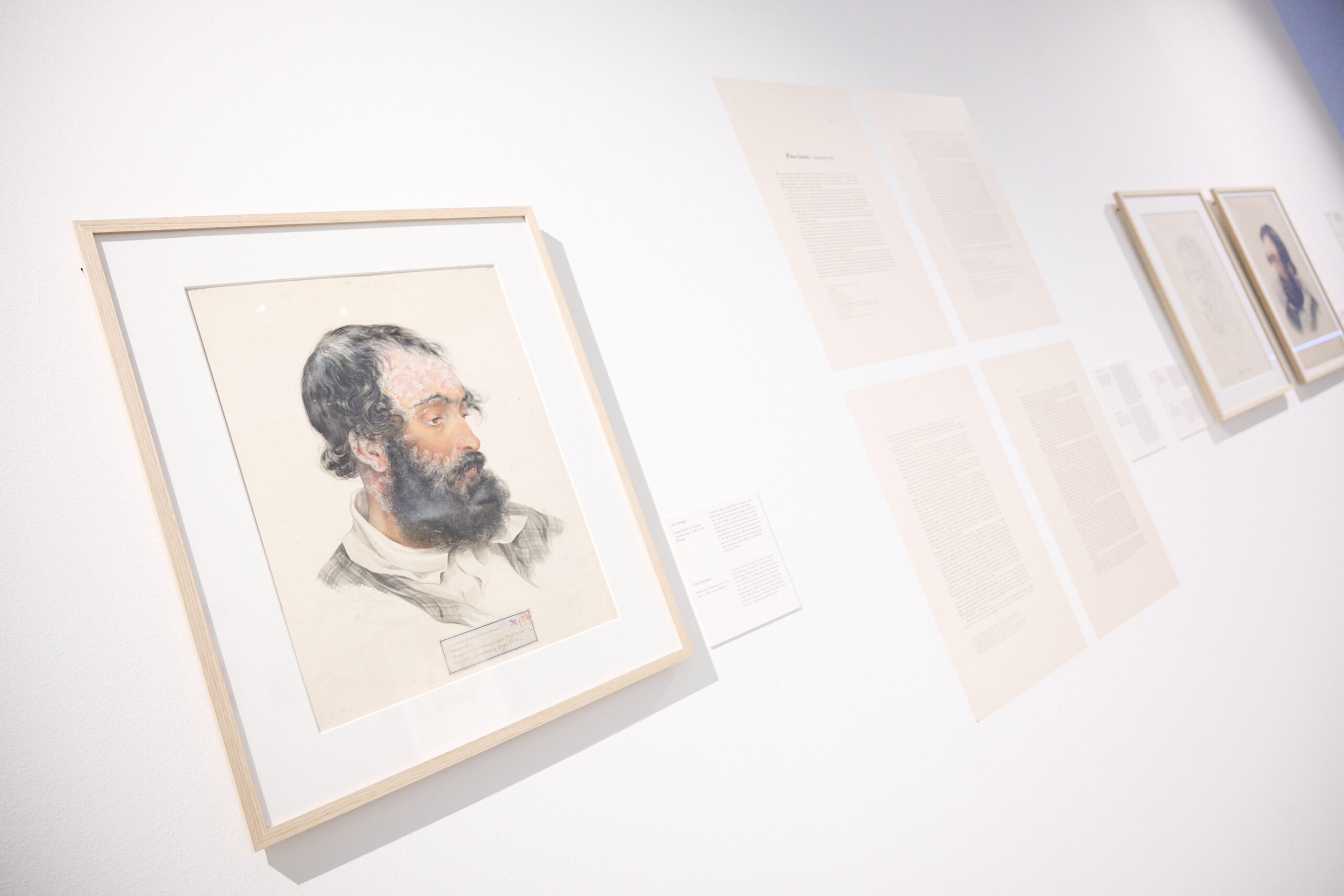 Gerahmte Zeichnungen in einer Kunstausstellung, präsentiert an einer weißen Wand.