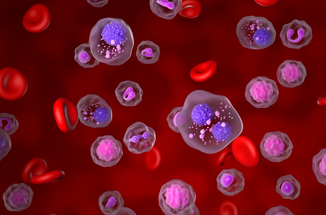 Darstellung von roten Blutkörperchen und weißen Blutkörperchen, passend zur Elranatamab NDMM Studie.