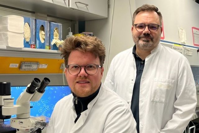 Niklas Gremke und Thorsten Stiewe im Labor. © Alina Stroh