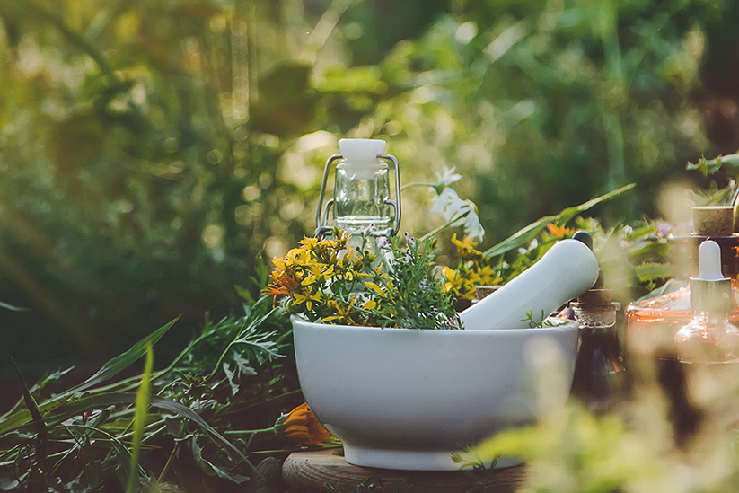 Symbolbild Phytotherapie