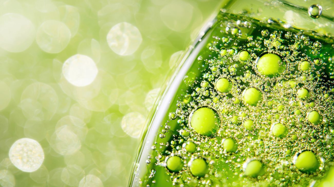 © PixelNexusArt_stock.adobe.com