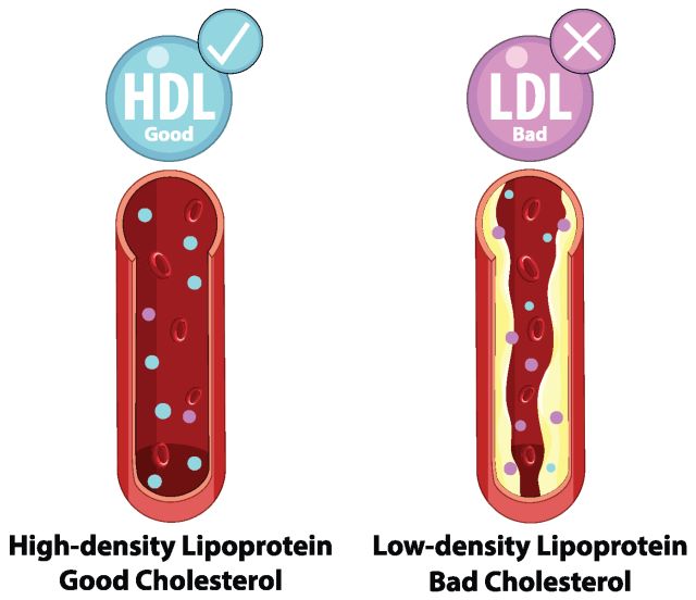 © blueringmedia – stock.adobe.com