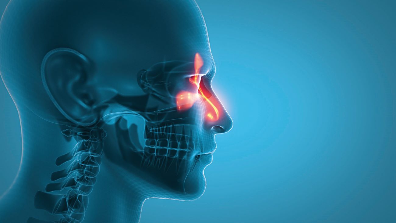 © labden – stock.adobe.com