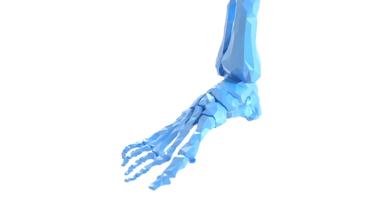 Die 3D-gerenderte medizinische Illustration zeigt die Knochen des menschlichen Fußes in einem modernen Low-Poly-Stil.