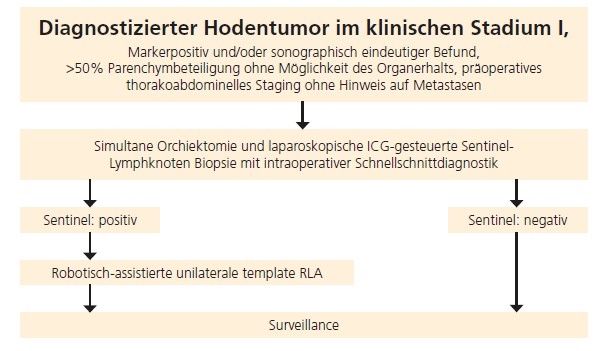 Abb. 1: Studiendesign