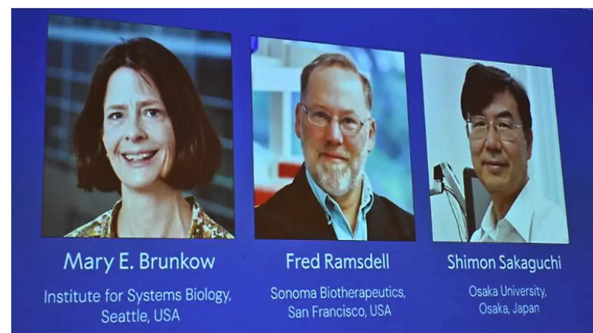 Mary E. Brunkow (v.l., Seattle), Fred Ramsdell (San Francisco) und Shimon Sakaguchi, Osaka) erhalten im Dezember den Medizin-Nobelpreis 2025. (Quelle: Nobel Prize Committee, Stockholm)