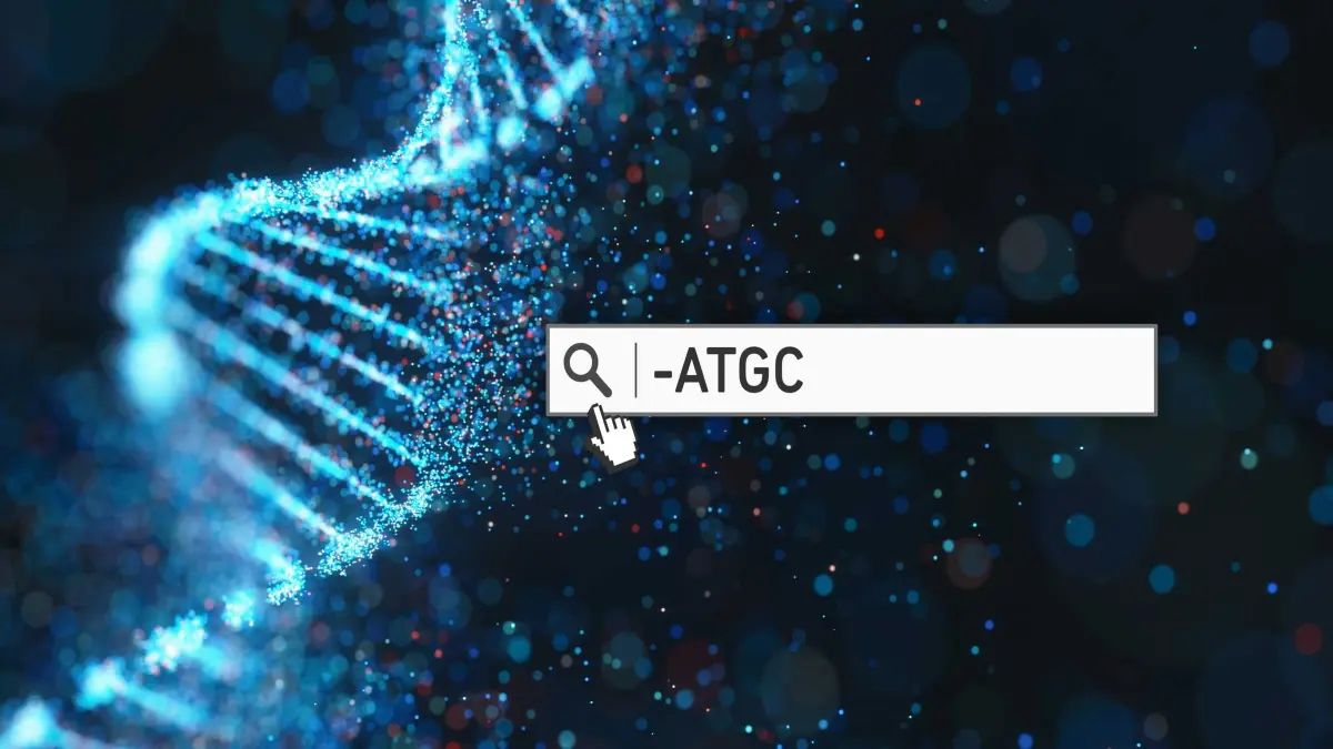 DNA-Datensätze können mit einer einfachen Suchfunktion im Tool «MetaGraph» schnell durchforstet werden.