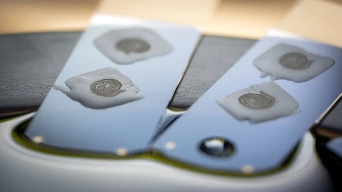 Nahaufnahme von Objektträgern mit Darmproben zur Untersuchung des Mikrobioms und der Wirkung von Fettsäuren.