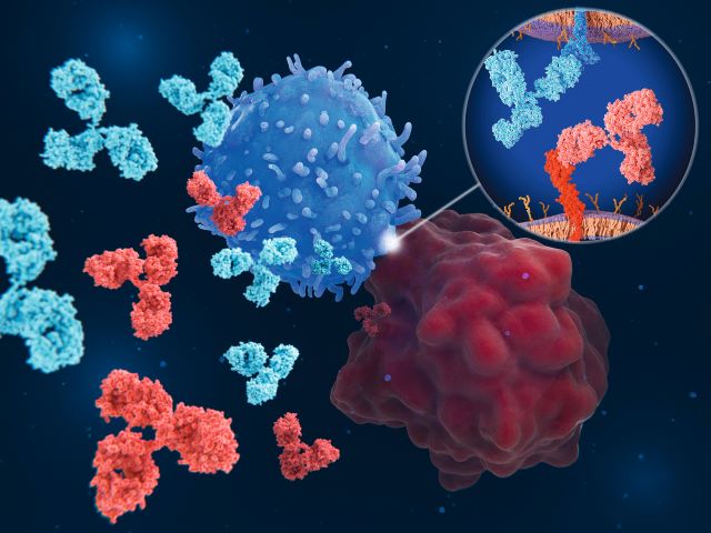Ansprechraten nach Erhaltungstherapie mit Baracitinib 4 mg im Vergleich zur
Dosisreduktion auf 2 mg (LOCF). Quelle: modifiziert nach [4]
