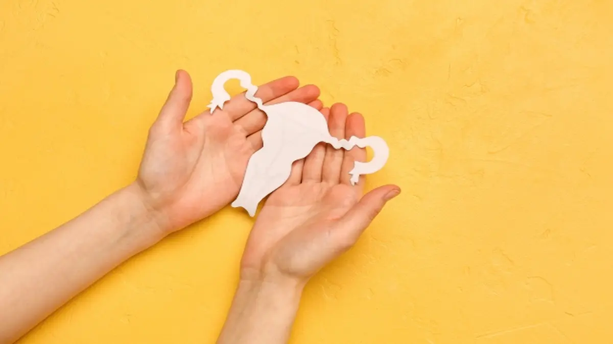 Zwei Hände halten eine stilisierte Darstellung der weiblichen Fortpflanzungsorgane, symbolisiert den Fertilitätserhalt bei Krebserkrankungen.