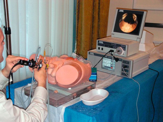 Abb. 1: TURP – realitätsnahes Training am Simulator