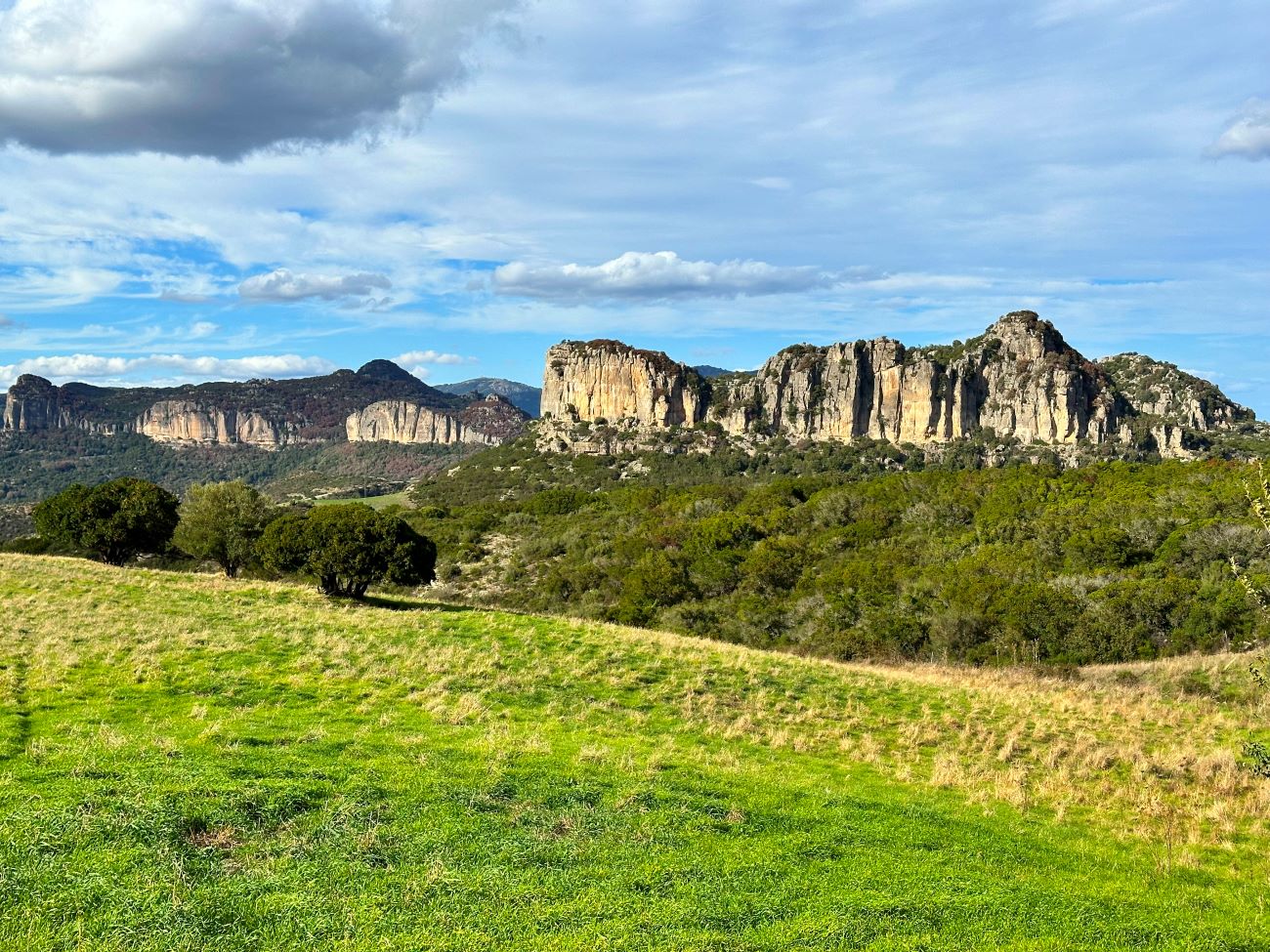 © nesavinov – stock.adobe.com