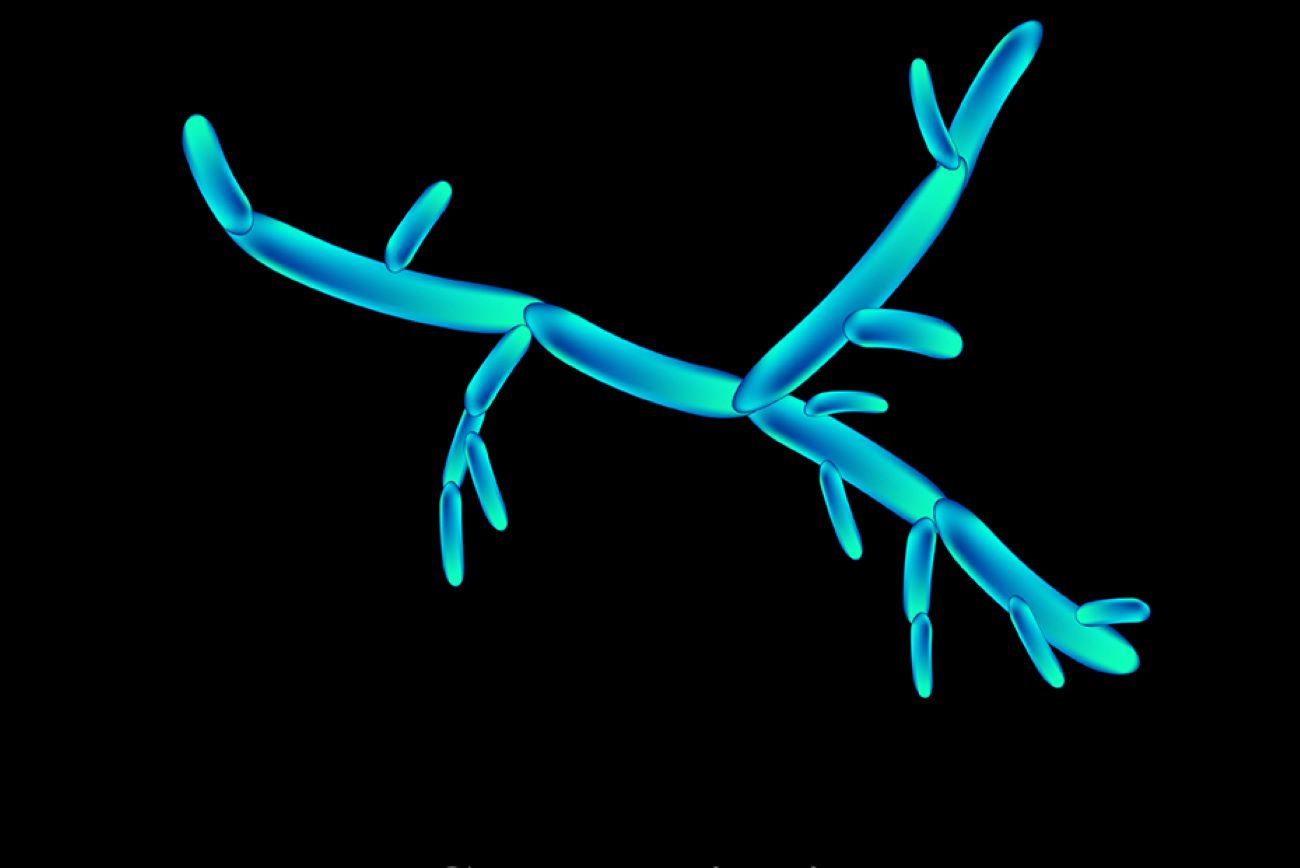 © timonina_stock.adobe.com