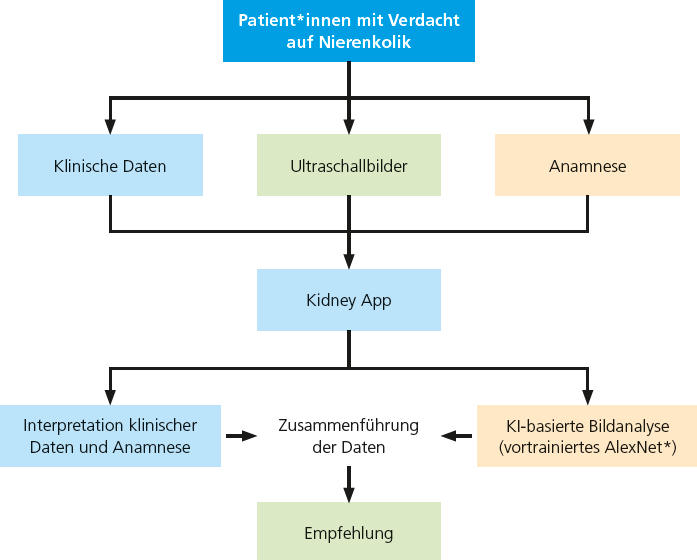 Abb. 1: Datenverarbeitungspipeline der Kidney APP zur Beurteilung von Nierenkoliken. Created in BioRender. Strüder D (2025)