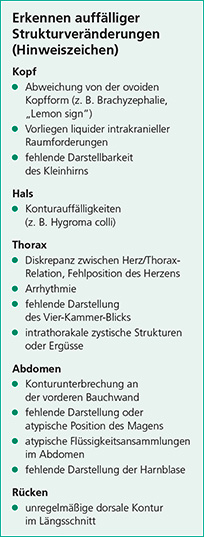 gyn-5-25_zs_screening_scharf_abb2 Abb. 2: Umfang der systematischen
Untersuchung der fetalen Morphologie
im Ultraschall-Screening IIb.