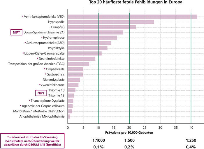 gyn-5-25_zs_screening_scharf_abb1_3sp.indd Abb. 4: Balkendiagramm der 20 häufigsten fetalen Fehlbildungen in Europa (EUROCAT, Fehlbildungsmonitoring Sachsen-Anhalt),
von denen fast alle durch das Ultraschall-Screening IIb adressiert werden, während einige (*) danach eine weiterführende
Abklärung durch DEGUM II/III erfordern.