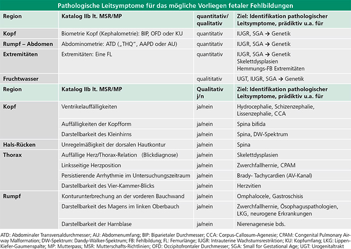 gyn-5-25_zs_screening_scharf_tab1 Tab. 1: Systematische Untersuchung pathologischer Leitsymptome im Rahmen des Ultraschall-Screenings IIb in den Bereichen
Kopf, Hals-Rücken, Thorax und Rumpf zur frühzeitigen Erkennung von Auffälligkeiten wie Hydrozephalie, Spina bifida, Herzvitien
oder Zwerchfellhernien.
