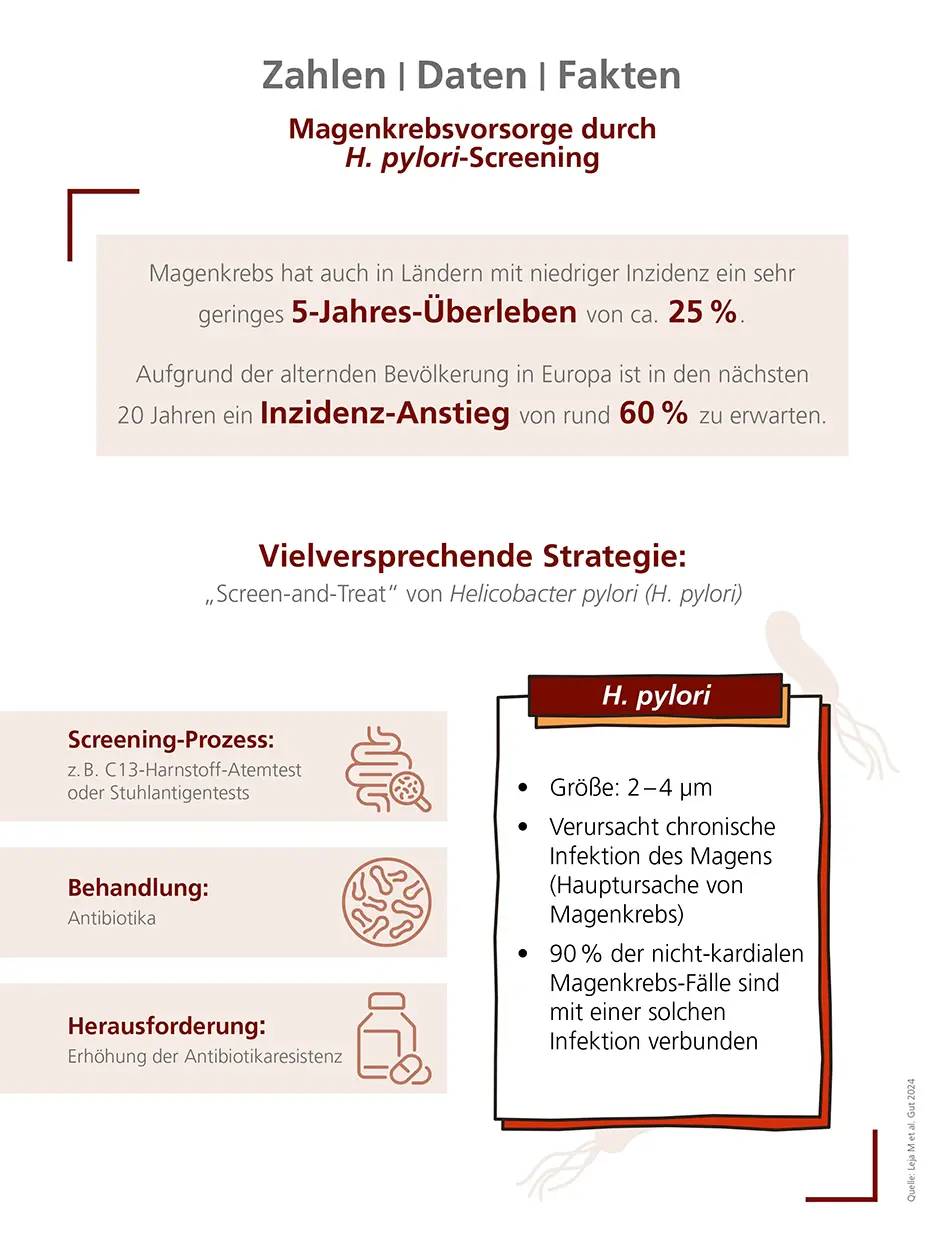 Magenkrebsvorsorge durch H. pylori-Screening