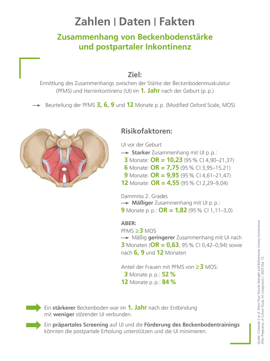 Zusammenhang von Beckenbodenstärke und postpartaler Inkontinenz