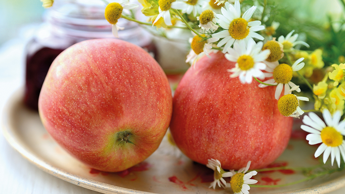 Zwei Äpfel mit Kamille