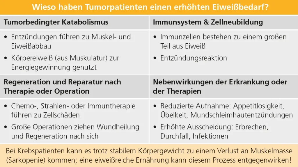 Abb. 1: Ursachen für einen erhöhten Eiweißbedarf bei Tumorpatienten
Mit BioRender.com erstellt
