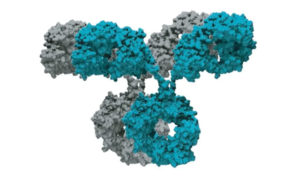 Analytische Ähnlichkeit zwischen dem neuen, generischen Biosimilar und dem Referenzprodukt
