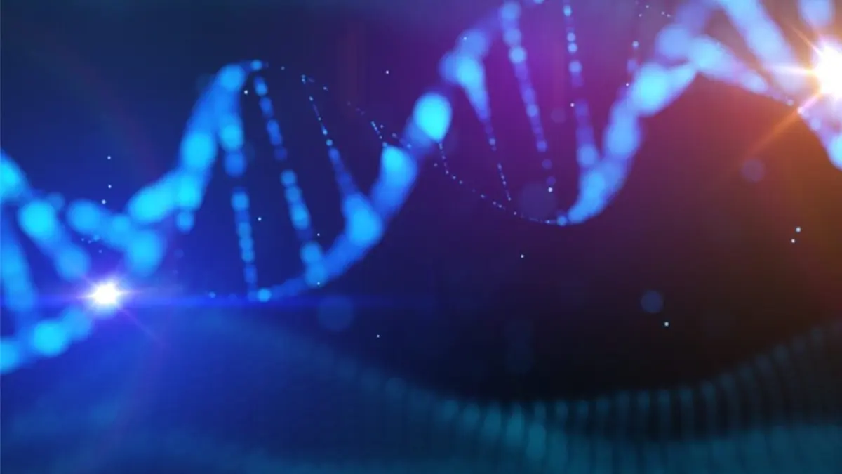 Illustration einer DNA-Doppelhelix in blauen und violetten Farbtönen, die die genetische Forschung symbolisiert.