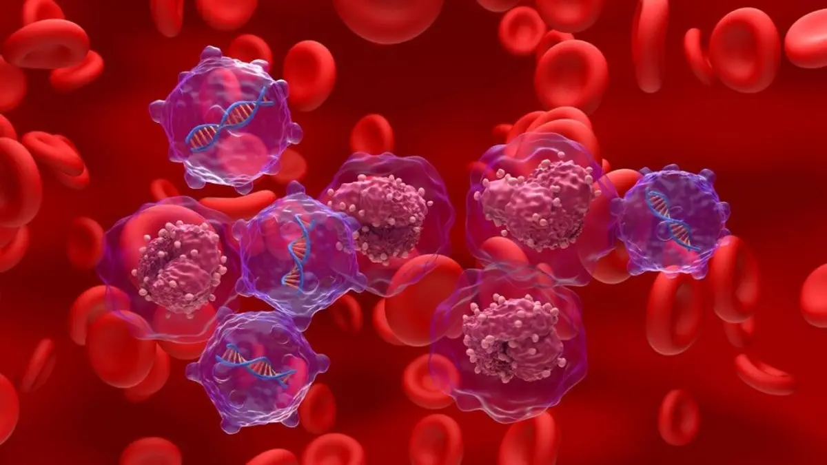 Rote Blutkörperchen und Immunzellen mit DNA-Strukturen, medizinische Illustration