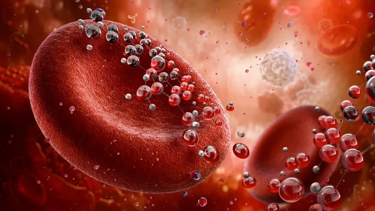 Visualisierung von Eisenmangel in der Schwangerschaft für Patient Blood Management.