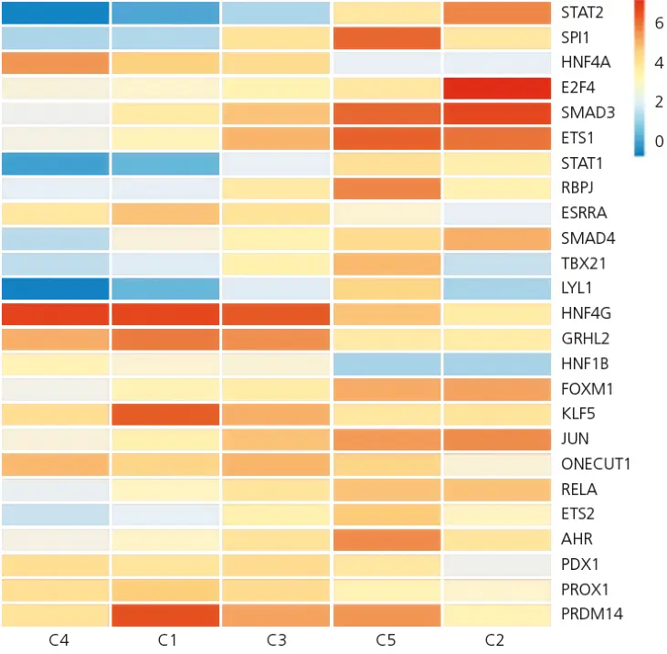 Abb. 2: Clusterbildung basierend auf den Transkriptionsfaktoraktivitätsprofilen der Transkriptomdaten