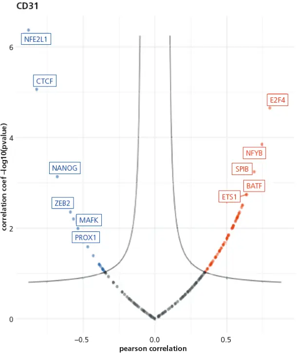 Abb. 3: Volcano-Plot mit Markierung signifikanter Gene. Dargestellte Korrelation zwischen der Aktivität von Transkriptionsfaktoren und der gemessenen %-Area durch Immunfluoreszenz bei CD31. Rot sind eleviert exprimierte, Transkriptionsfaktoren, blau erniedrig exprimierte Transkriptionsfaktoren dargestellt. n = 10