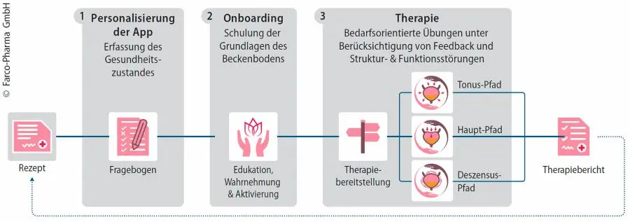 Abb. 1: Übersicht der FEMANEA-Therapie