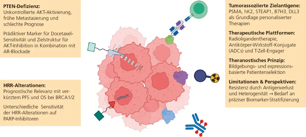 Abb. 1: Personalisierte Therapie des metastasierten Prostatakarzinoms: molekulare Zielstrukturen und Biomarker-basierte Behandlungsstrategien
